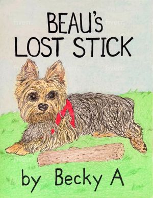 Beau's Lost Stick