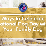 Ways to Celebrate National Dog Day with Your Family Dog